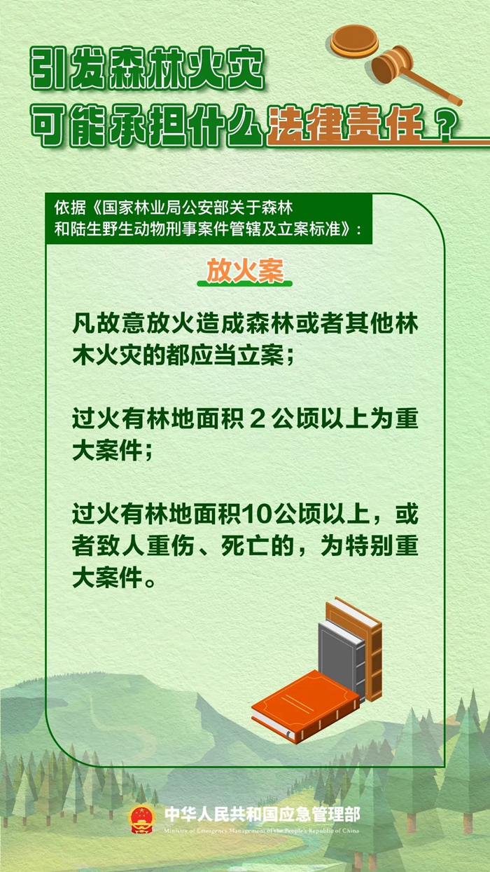 森林图片2.jpg 森林图片2.jpg
