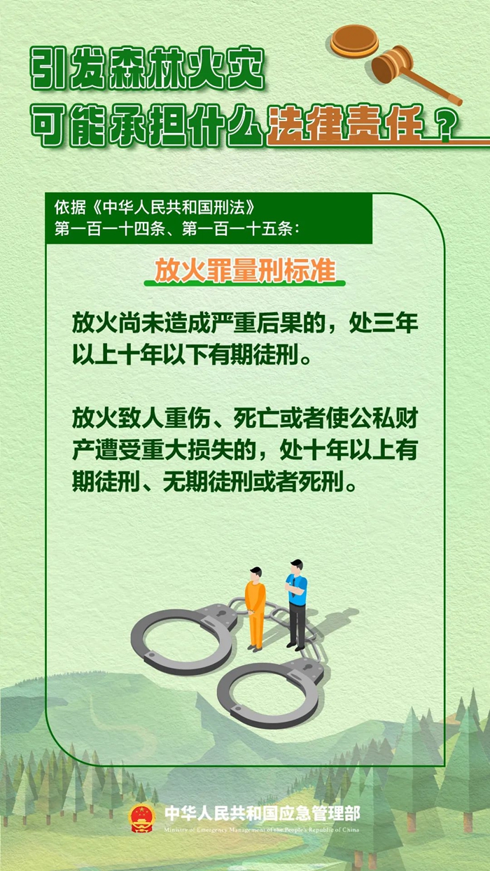 森林图片4.jpg 森林图片4.jpg