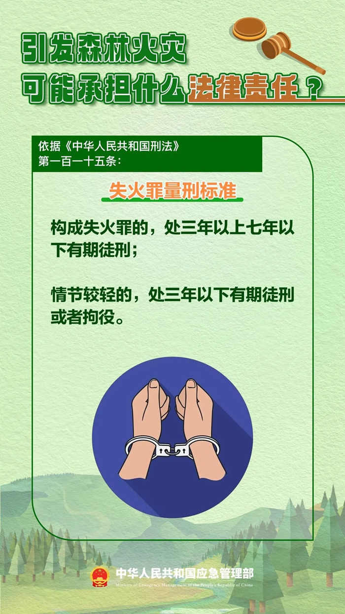 森林图片5.jpg 森林图片5.jpg