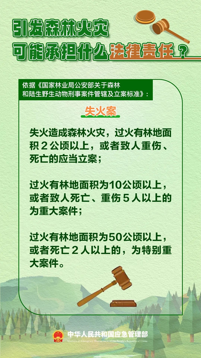 森林图片3.jpg 森林图片3.jpg