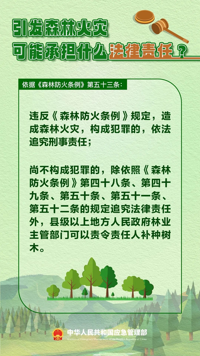 森林图片1.jpg 森林图片1.jpg